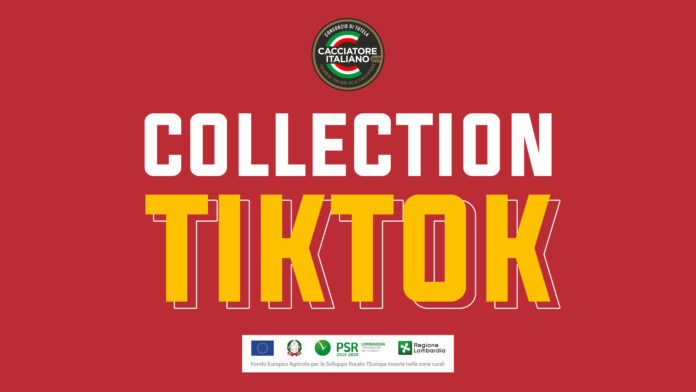 TikTok Collection